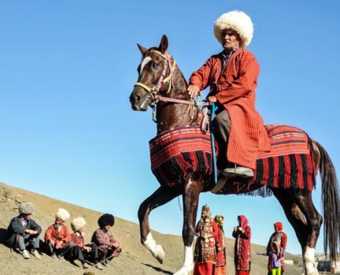 Turkman Horses